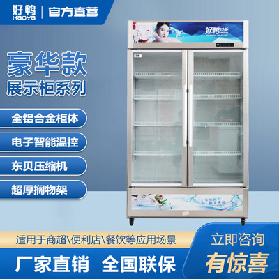 熟食保鲜展示柜 好鸭电器 低温食品展示柜